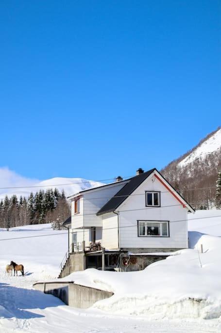 Holiday Home Among The Pearls Of Norway Stranda  Kültér fotó
