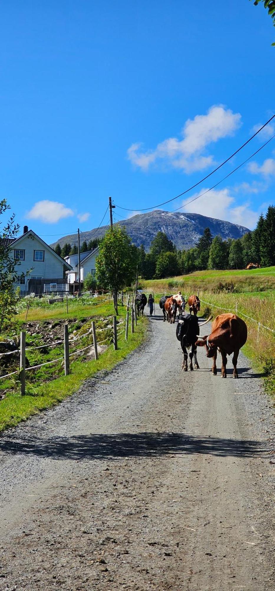 Holiday Home Among The Pearls Of Norway Stranda  Kültér fotó