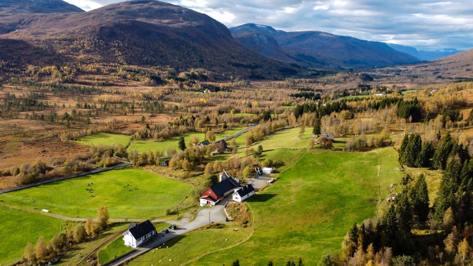 Holiday Home Among The Pearls Of Norway Stranda  Kültér fotó